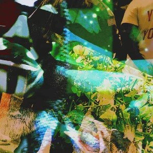 _L👀P___disclosure_2