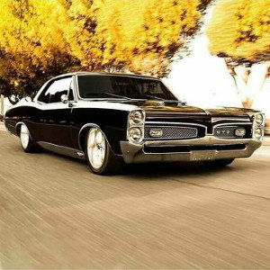 GTO (DEMO)