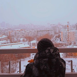 Шпак бич 