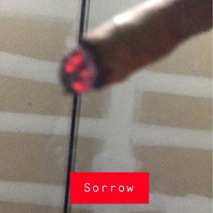 Sorrow Freestyle 