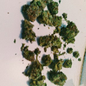 100$ 4 AH YOOPHA