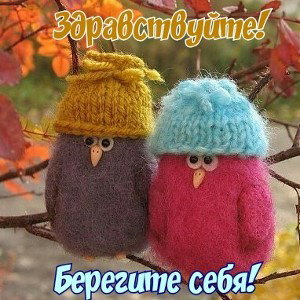 оторваны от правильного выбора 