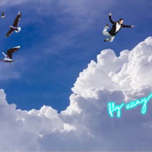 Fly Away 