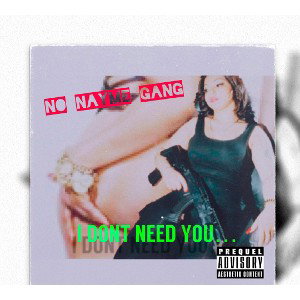 I Dont Need You