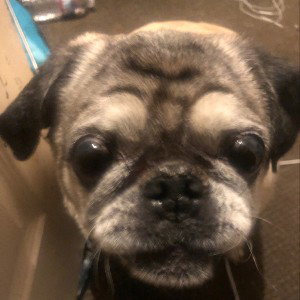 Otis da West Coast
