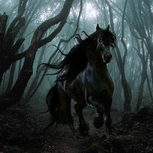 Esto es epico / Black Dragón