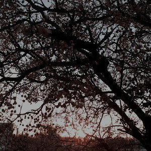 Kalex - Cafe☕ [prdo by 4:20]