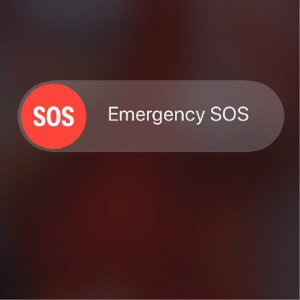 Trap