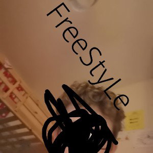 freestyle 2