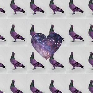 purple pigeons ☠️