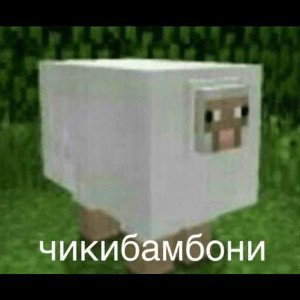 Чикибамбони