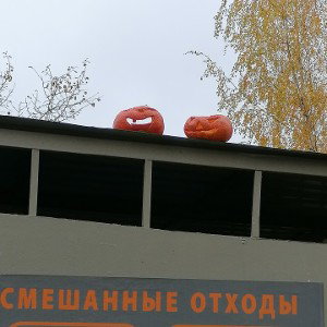 че-то новое гыггы
