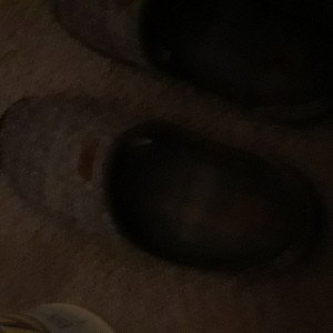please don't step up on my shoes - PRETTY BOY COLORADO 