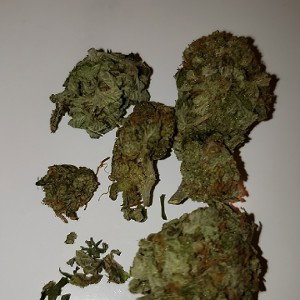 drugz damaged product 