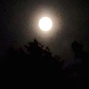 Pre-Project (Freestyle)