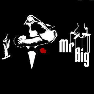Now, I'm Mr.Big!