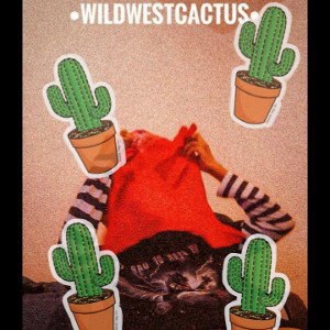 WILD CACTUS 