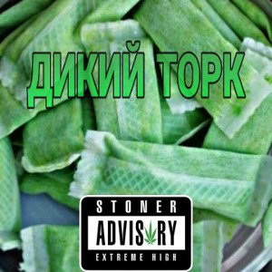 Дикий Торк