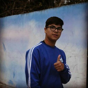 Primer free