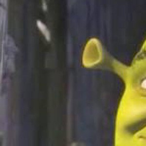 OGRE BROTHER