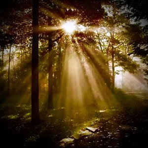 A NEW DAY