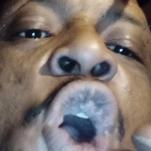 Im Too Reptilian