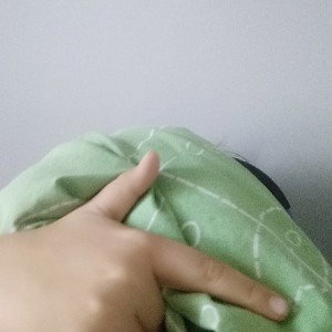 diss na faraona-farmazona