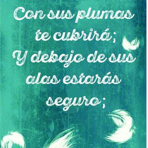 todo estara bien
