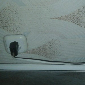 Vk.com/E.graff
