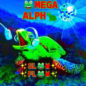 ✨✨✨SL🐸W - FL🐸W✨✨✨