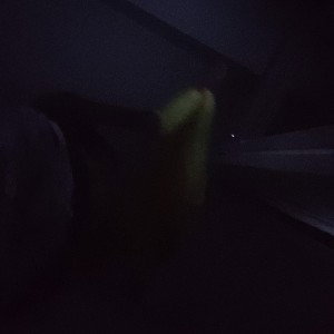 Mommy(sunnde intro)
