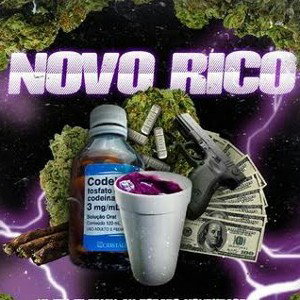 Novo Rico