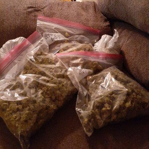 Let's Get High