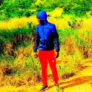 BELE.......GROVE