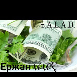 [Ержан]01. S.A.L.A.D.
