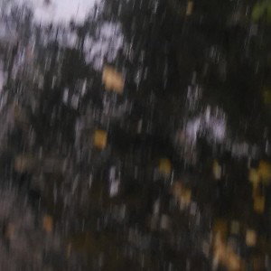 Chill (08:20)