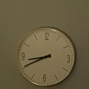 Garden (20:38:13)