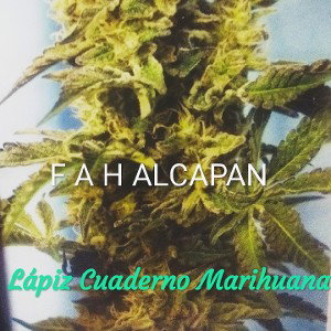 lápiz cuaderno mari 
