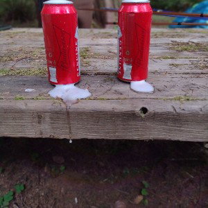  The Bottle