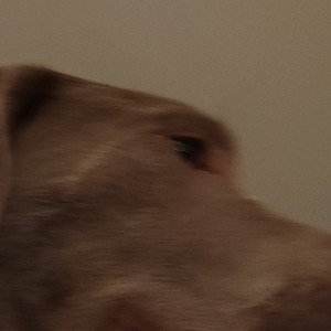 you