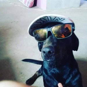 no tengo fama no tengo dinero