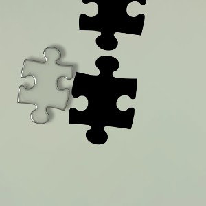 puzzle piece