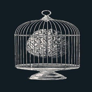 Lost mind 