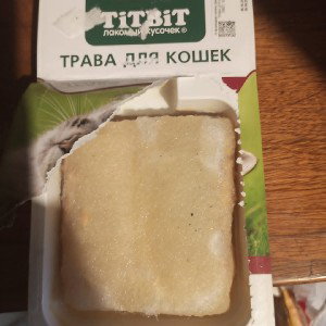 чисто фан