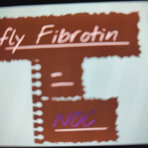 fly Fibrotin - NOC