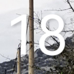 18