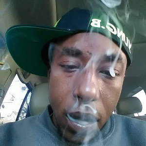 Neva Fold  UNMIxed