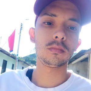 ilógica del word