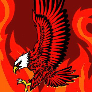 🦅🔴🦅🔴🦅🔴🦅🔴🦅