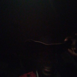 tha POLICE